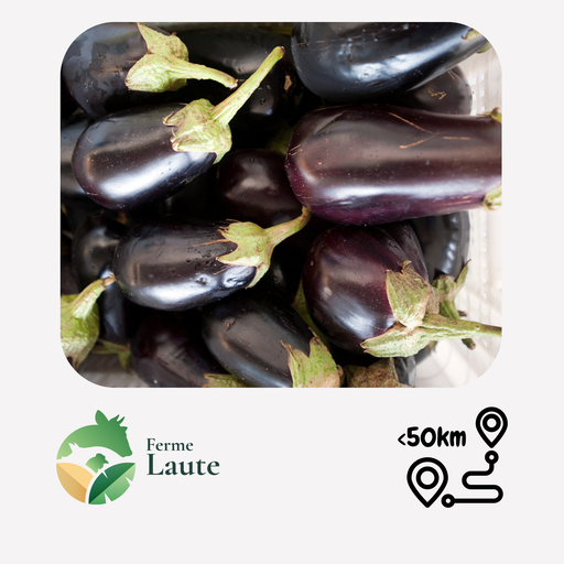 Aubergines FL - 500g